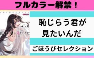 『恥じらう君が見たいんだ ごほうびセレクション』についてまとめた記事のアイキャッチ画像