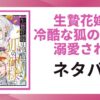 「生贄花嫁は冷酷な狐の神様に溺愛される ネタバレ」と書かれた記事のアイキャッチ画像